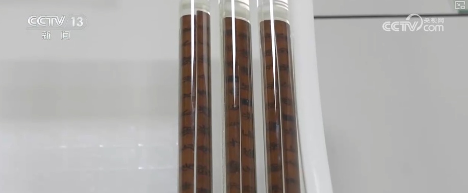 数字赋能千年简牍焕新彩 文物“活”起来让中华文明可感可知