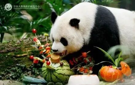 传奇“高高”去世，年约33岁！