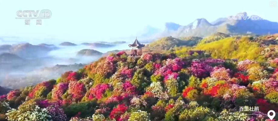 从“连峰际天兮,飞鸟不通”到市市通高铁 一日千里的交通“加速度”为经济注入强引擎 从“连峰际天兮,飞鸟不通”到市市通高铁 一日千里的交通“加速度”为经济注入强引擎