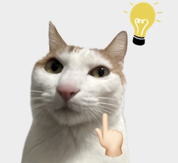 “眼里没有对知识的渴望，全是表情包……”