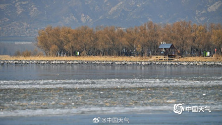 北京野鸭湖灰鹤群起舞