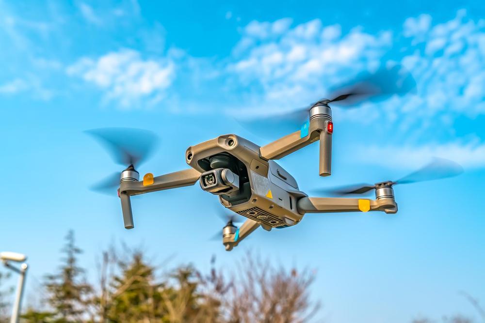 松材线虫病的危害有多大？如何有效“对症下药”？专家解读