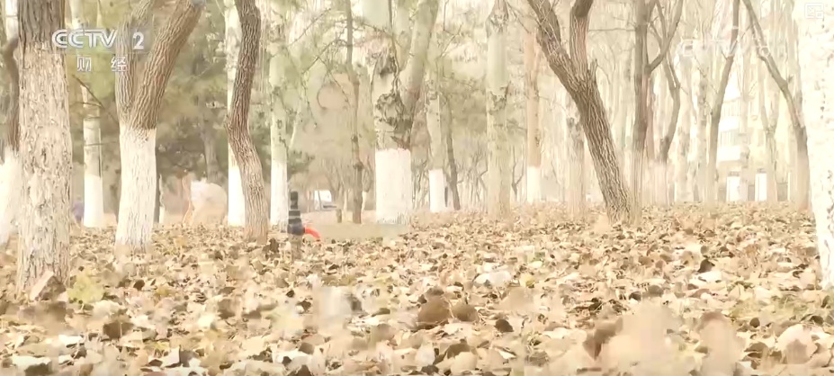 清扫、巡逻、走访……各部门协力应对风雪 保障道路畅通与群众生产生活