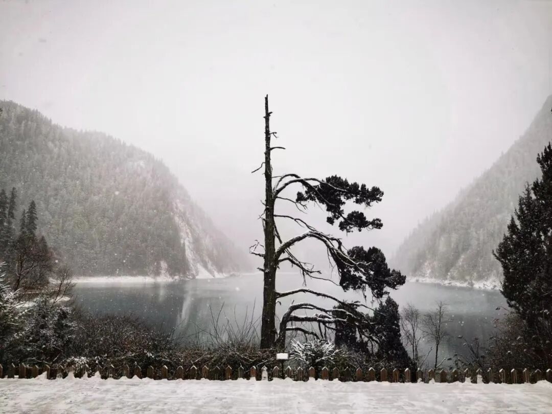 九寨沟发布公告：严禁一切非法穿越行为