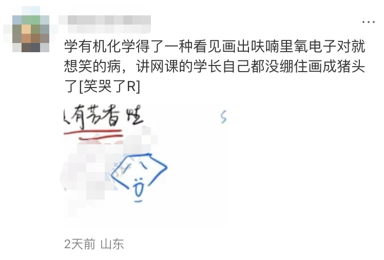 “眼里没有对知识的渴望，全是表情包……”