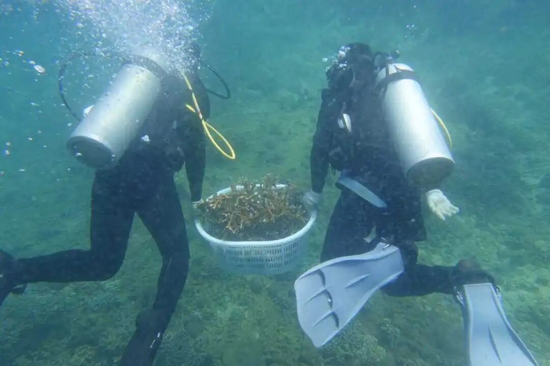 警报拉响！地球触发首个“气候临界点”