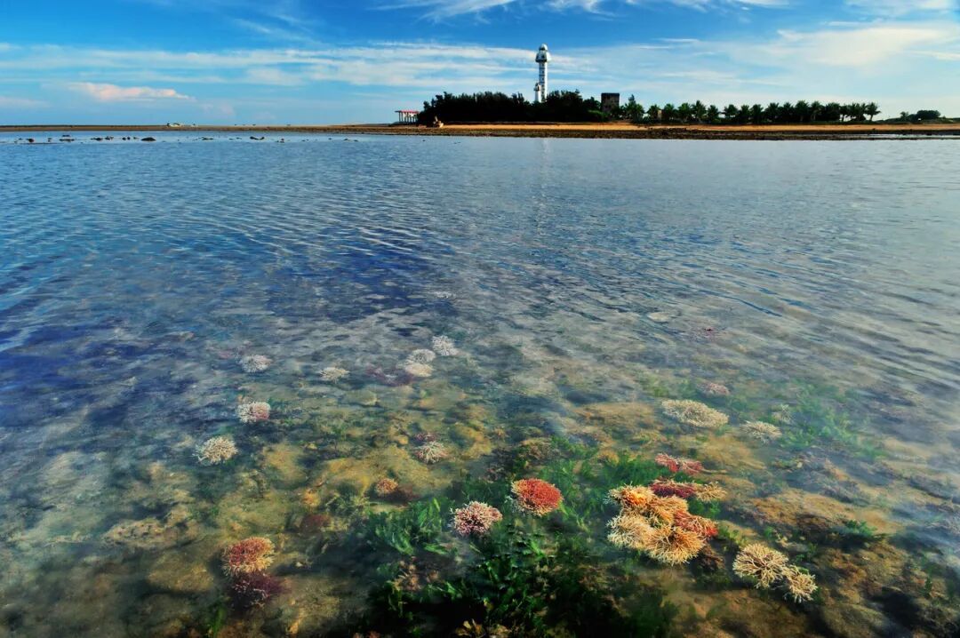 警报拉响！地球触发首个“气候临界点”