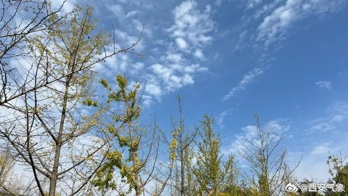 气温先升后降！陕西即将迎雨雪天气
