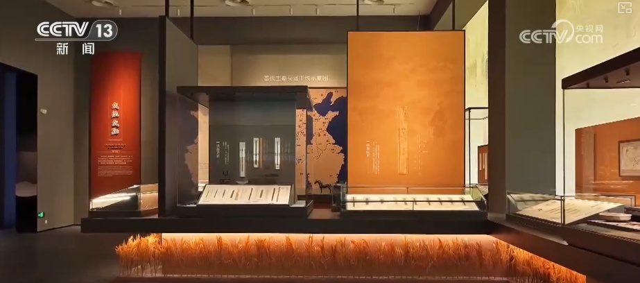 数字赋能千年简牍焕新彩 文物“活”起来让中华文明可感可知