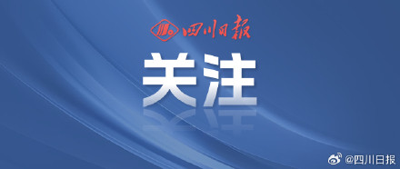 四川狗狗未采取安全措施禁入电梯