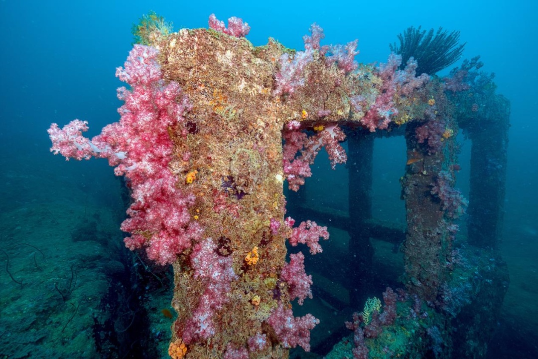 警报拉响！地球触发首个“气候临界点”