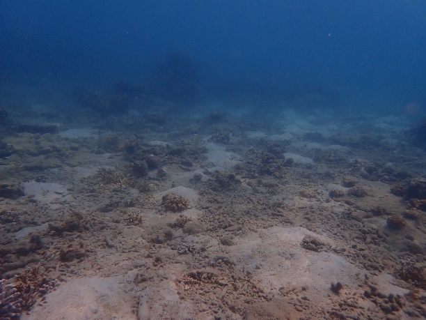 警报拉响！地球触发首个“气候临界点”