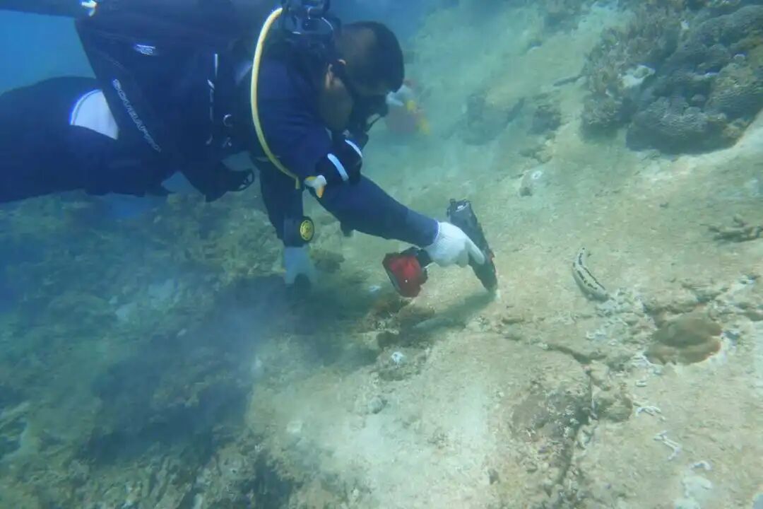 警报拉响！地球触发首个“气候临界点”