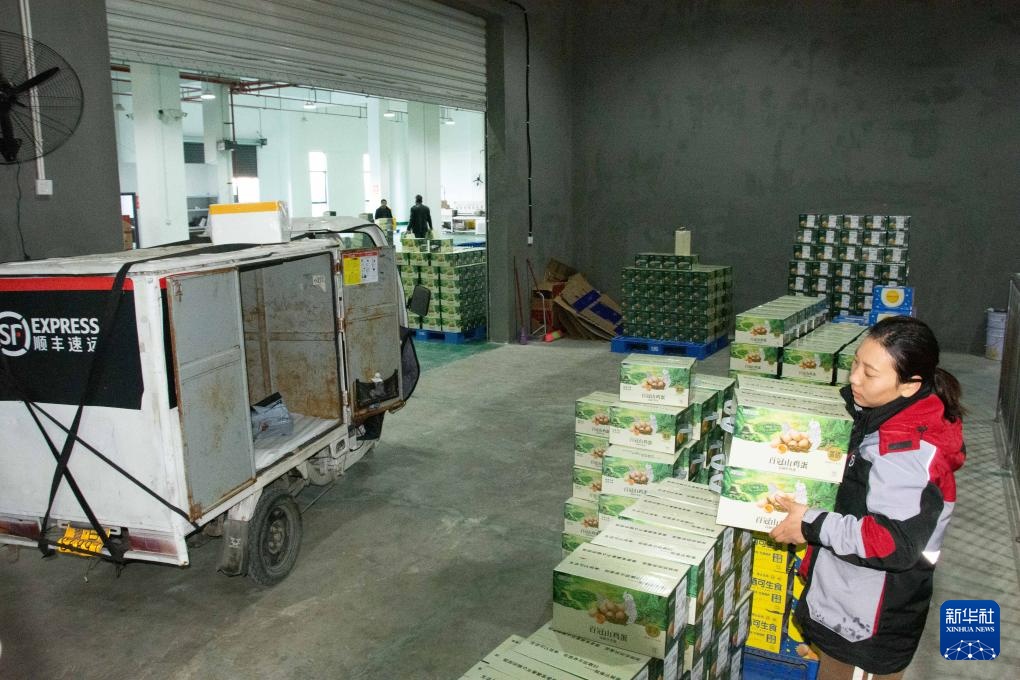 湖南冷水滩：科技赋能蛋鸡产业发展