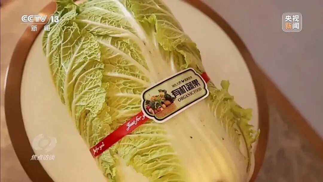 从9毛一斤到155元一颗，起底“套牌白菜”身价暴涨的秘密→