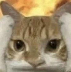 “眼里没有对知识的渴望，全是表情包……”