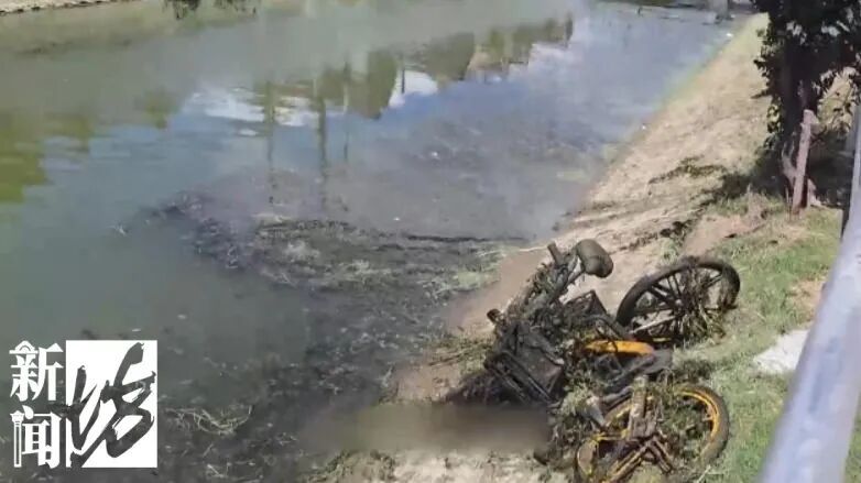 匪夷所思!上海不少共享单车的定位竟都在这?真相气得人浑身发抖 匪夷所思!上海不少共享单车的定位竟都在这?真相气得人浑身发抖