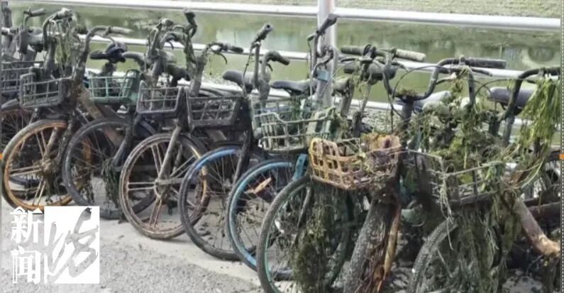 匪夷所思!上海不少共享单车的定位竟都在这?真相气得人浑身发抖 匪夷所思!上海不少共享单车的定位竟都在这?真相气得人浑身发抖