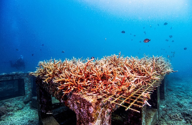 警报拉响！地球触发首个“气候临界点”