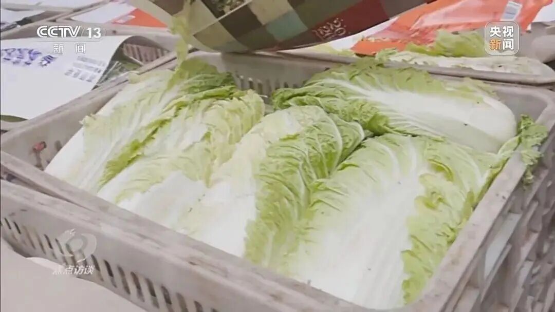 从9毛一斤到155元一颗，起底“套牌白菜”身价暴涨的秘密→