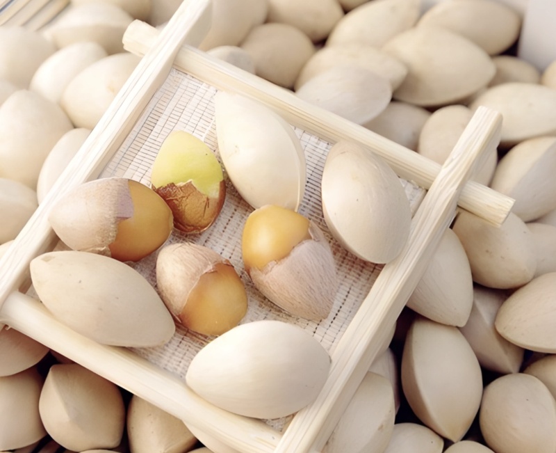 “臭宝”来啦！北京街边这类不是果，生吃多吃都有毒