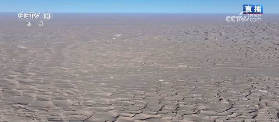 在沙漠实现吃鱼自由 看新疆如何书写“水产奇迹”