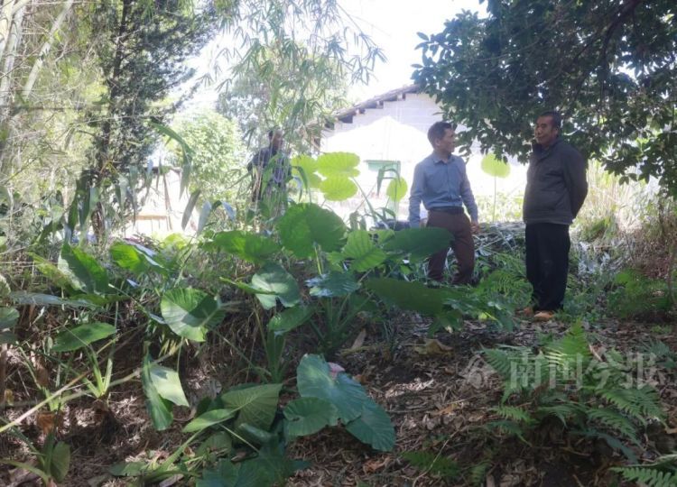 柳州大叔挖蚯蚓，竟挖出近60斤重“大宝贝”，来自千年前！