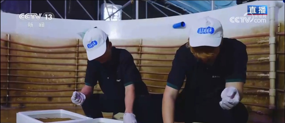 在沙漠实现吃鱼自由 看新疆如何书写“水产奇迹”