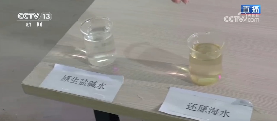 在沙漠实现吃鱼自由 看新疆如何书写“水产奇迹”