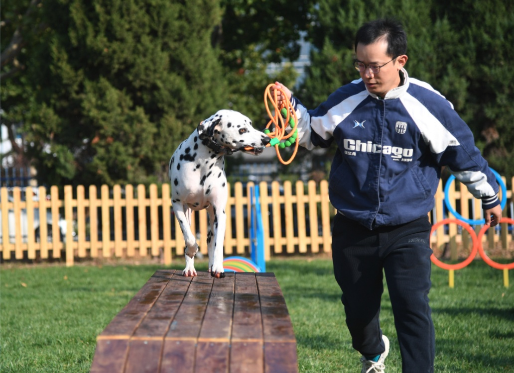 两万元一个狗碗，这届铲屎官的钱也太好赚了