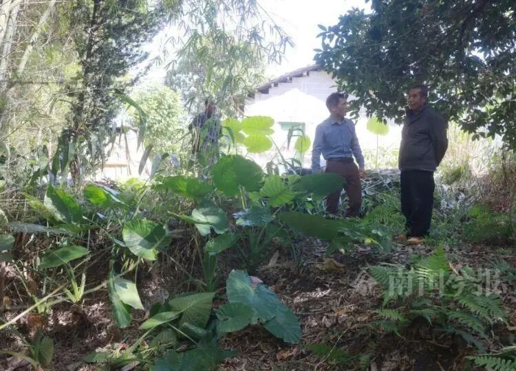 大叔挖蚯蚓，竟挖出上千年“大宝贝”