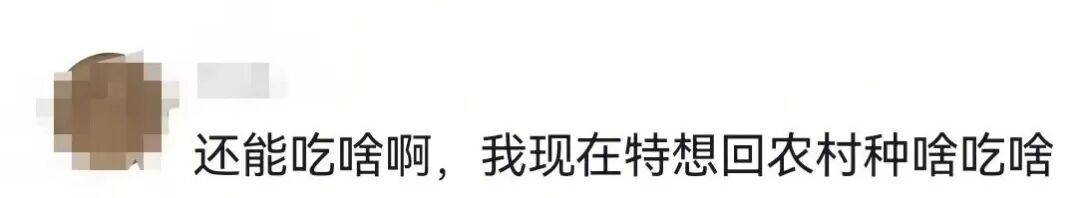 致癌的“激素鸡蛋”又来了?真相是→ 致癌的“激素鸡蛋”又来了?真相是→