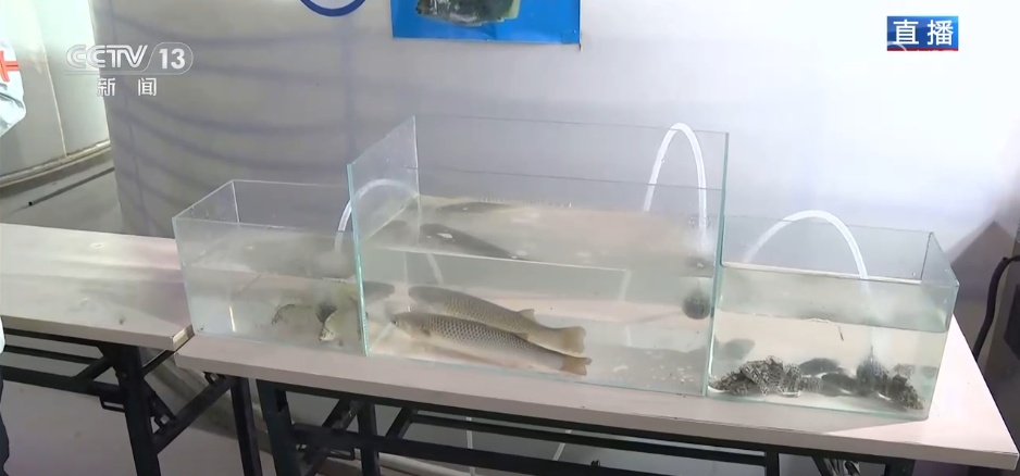 在沙漠实现吃鱼自由 看新疆如何书写“水产奇迹”