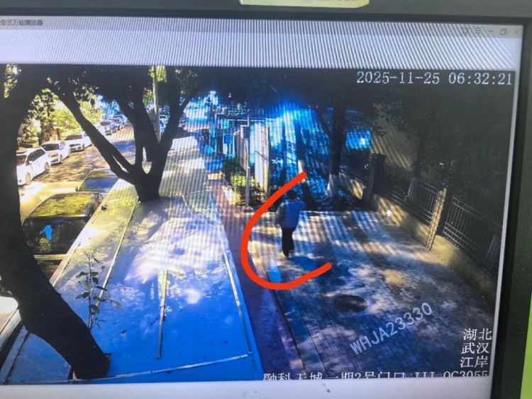 肇事逃逸还返回现场“打探” 警方12小时破案拘人 肇事逃逸还返回现场“打探” 警方12小时破案拘人