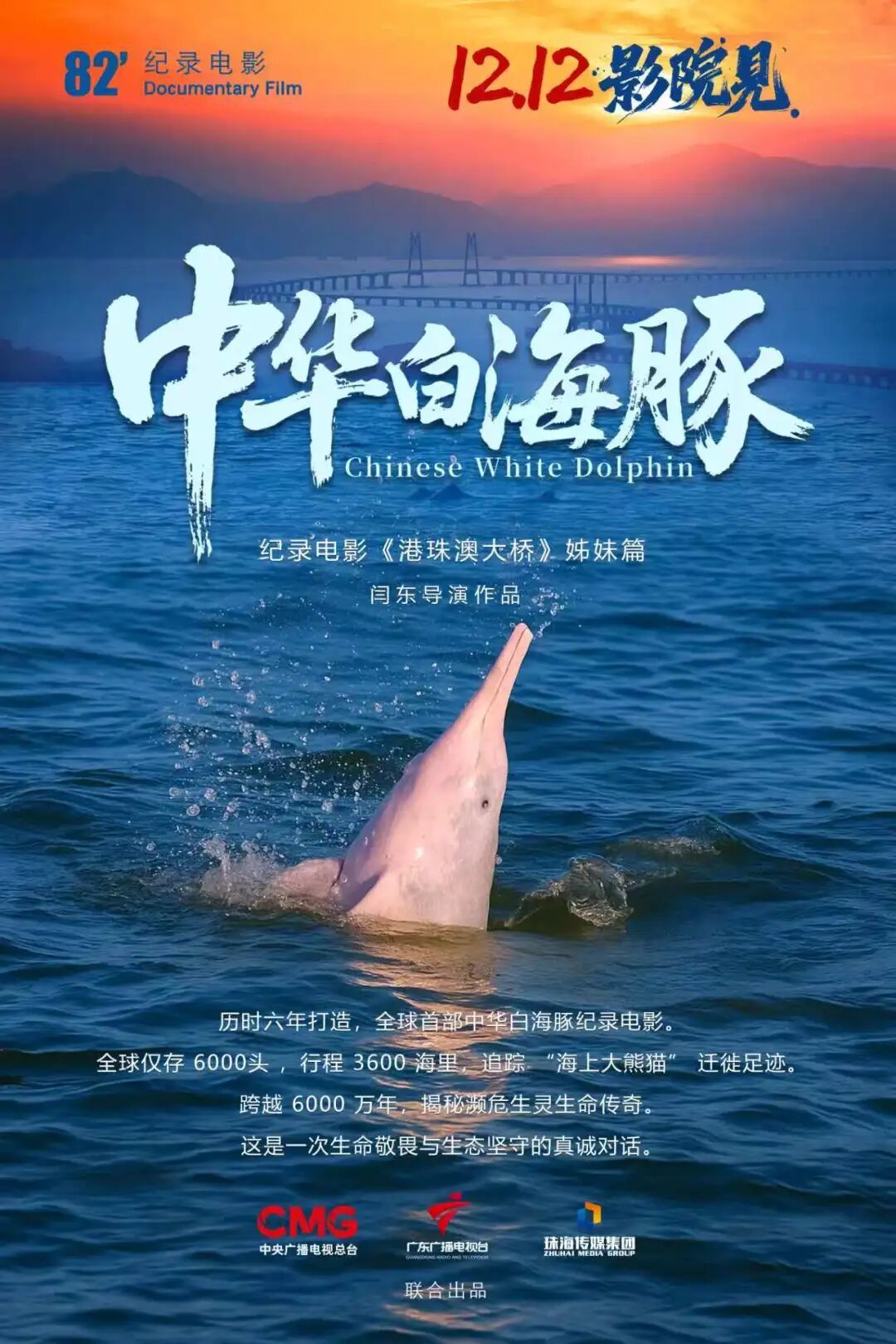 《得闲谨制》《阿凡达3》等50余部电影锁定贺岁档，你最期待哪一部?