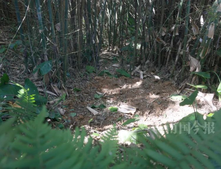 柳州大叔挖蚯蚓，竟挖出近60斤重“大宝贝”，来自千年前！