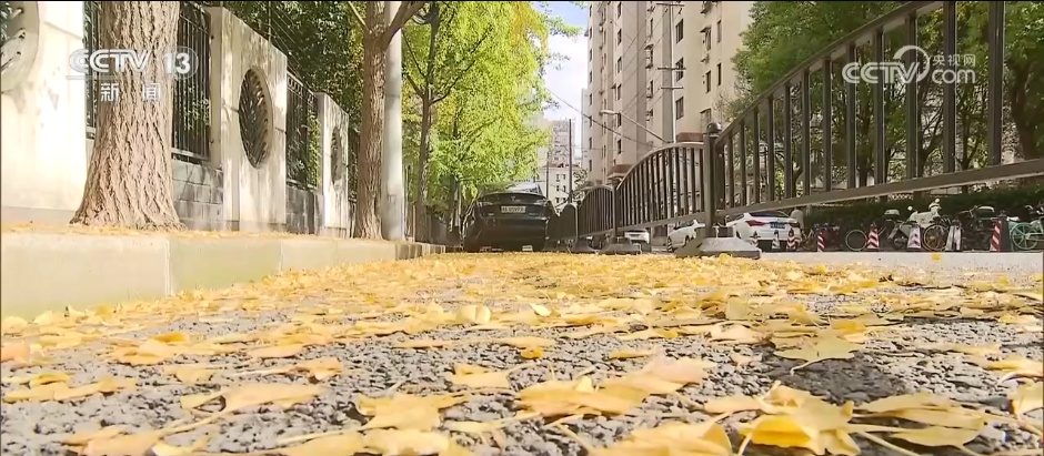 “限量版”秋冬美景成为旅游“金名片” 各地打造文旅市场新增长点 “限量版”秋冬美景成为旅游“金名片” 各地打造文旅市场新增长点
