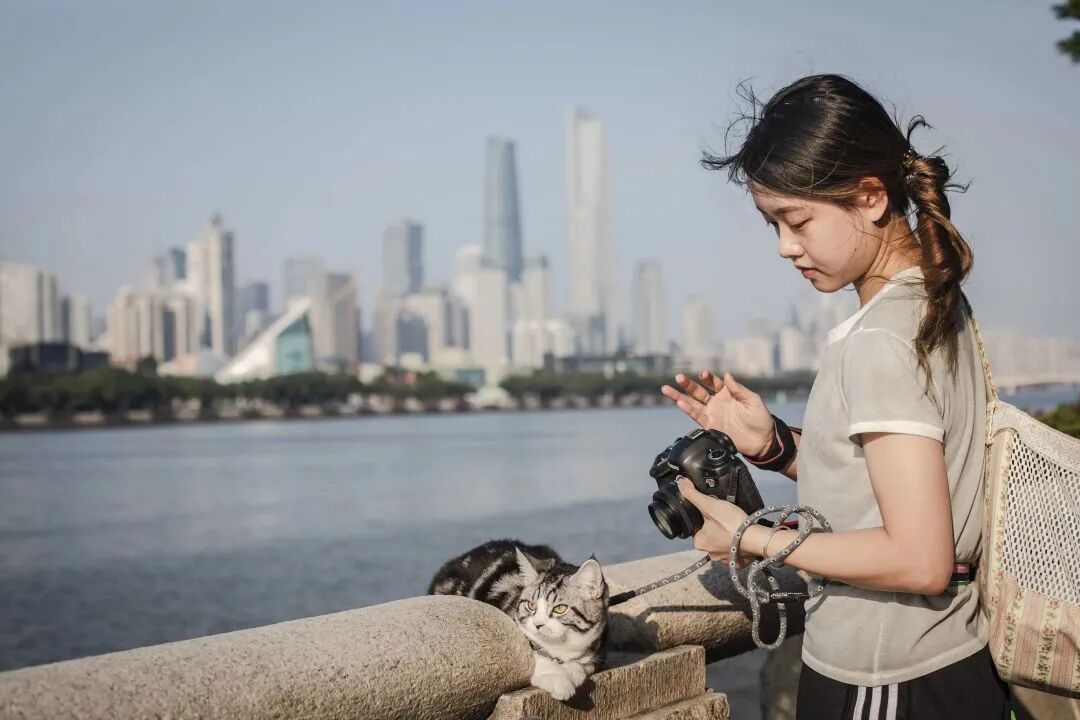 两万元一个狗碗，这届铲屎官的钱也太好赚了