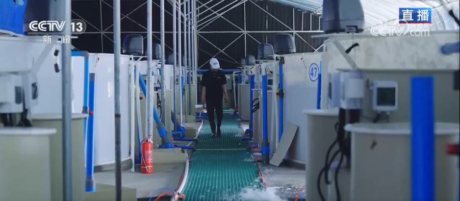 在沙漠实现吃鱼自由 看新疆如何书写“水产奇迹”