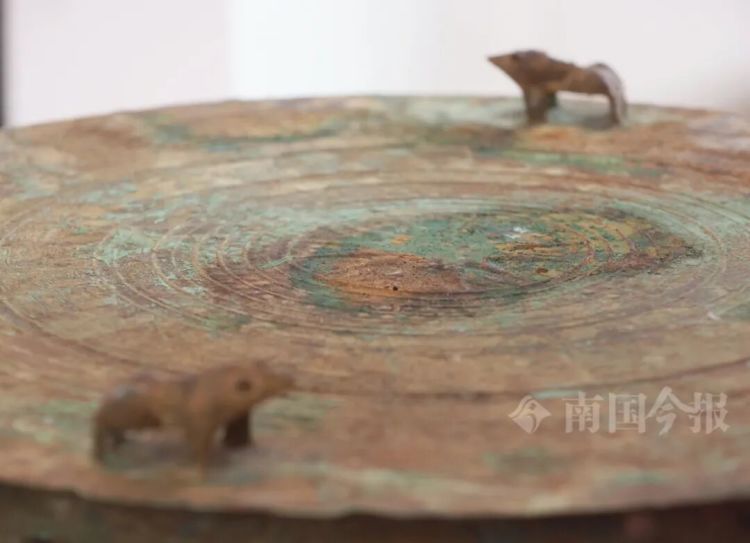 柳州大叔挖蚯蚓，竟挖出近60斤重“大宝贝”，来自千年前！