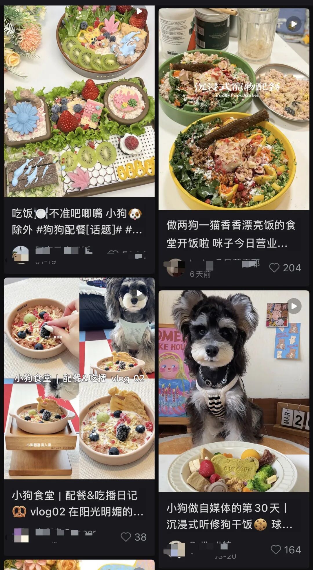 两万元一个狗碗，这届铲屎官的钱也太好赚了