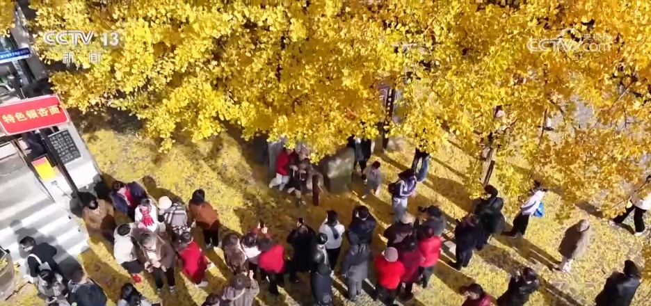 “限量版”秋冬美景成为旅游“金名片” 各地打造文旅市场新增长点 “限量版”秋冬美景成为旅游“金名片” 各地打造文旅市场新增长点