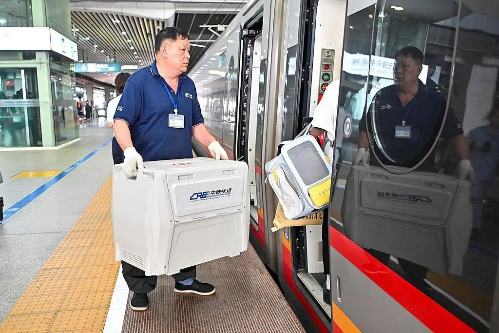 两万元一个狗碗，这届铲屎官的钱也太好赚了