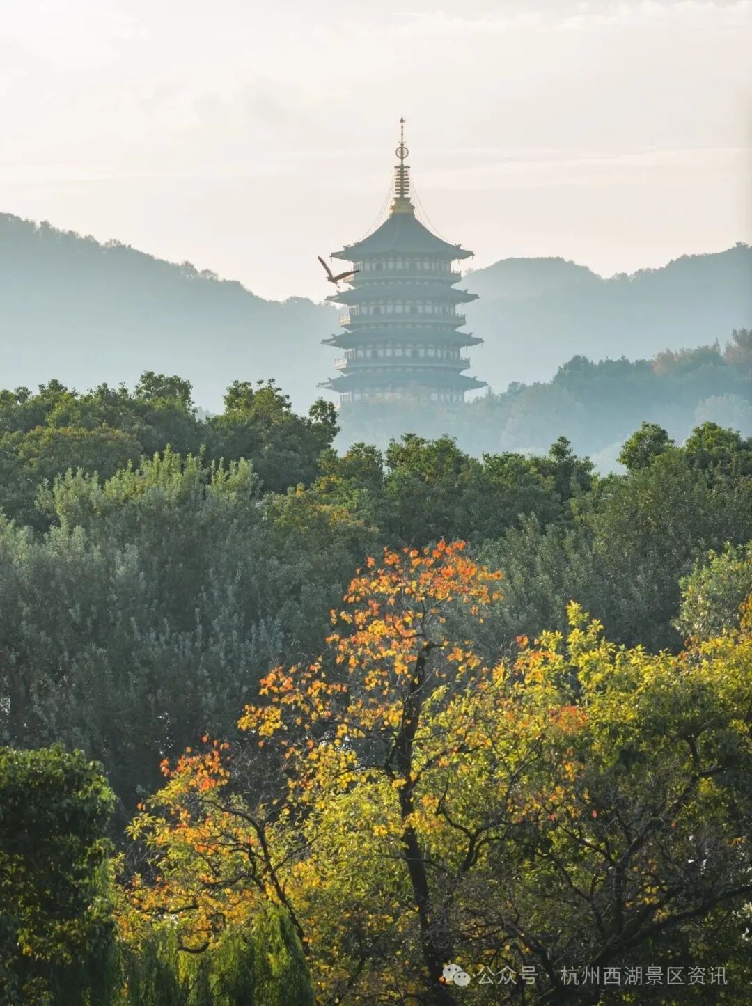 下周起，杭州西湖景区停车收费有调整