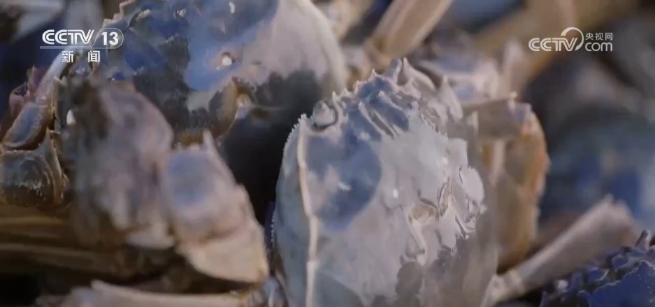 沙漠“盲盒”开出美味物产 解锁“死亡之海”背后的绿色密码