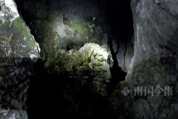 意外发生！柳州两男子爬“野生网红”山崖，一人不慎坠崖！同伴施救也被困