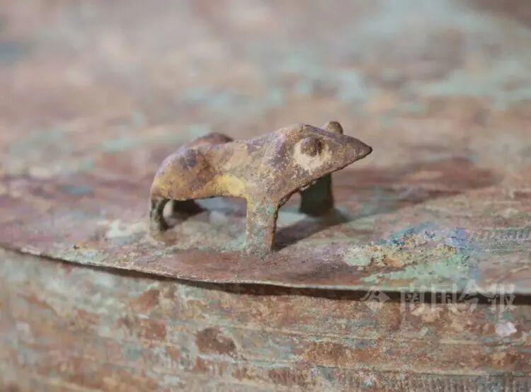 大叔挖蚯蚓，竟挖出上千年“大宝贝”