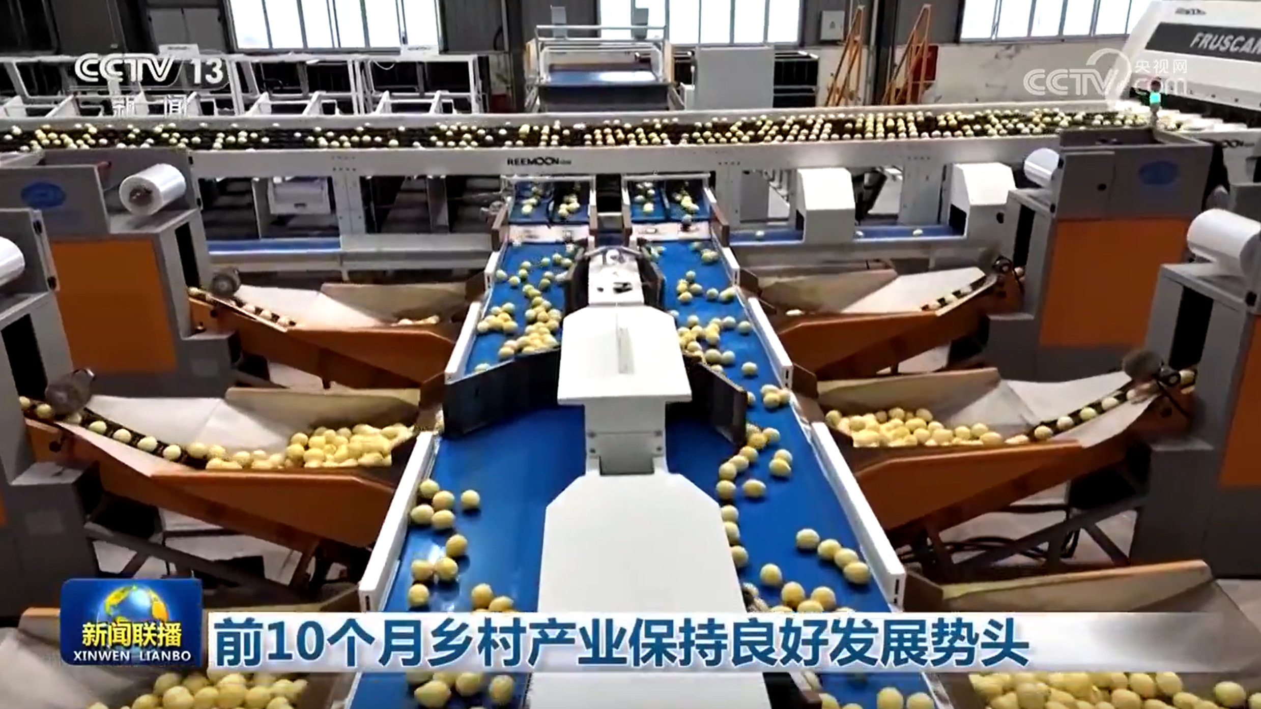 前10个月乡村产业保持良好发展势头 前10个月乡村产业保持良好发展势头