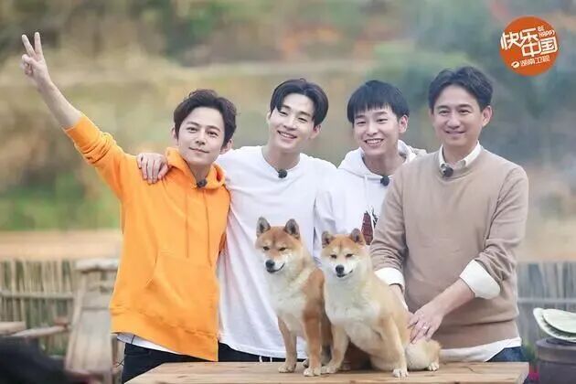 平均收视率第一！《四喜》收官，桐庐又“火”啦！