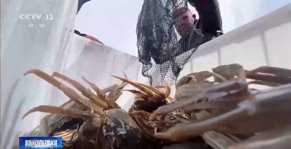 从“死亡之海”到“水产绿洲” 解锁新疆“点沙成金”的密码→ 从“死亡之海”到“水产绿洲” 解锁新疆“点沙成金”的密码→